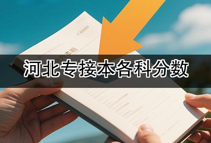 河北专接本各科分数