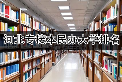 河北专接本民办大学排名