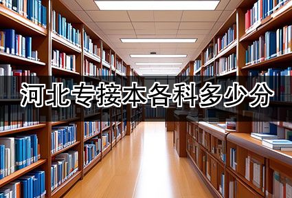 河北专接本各科多少分
