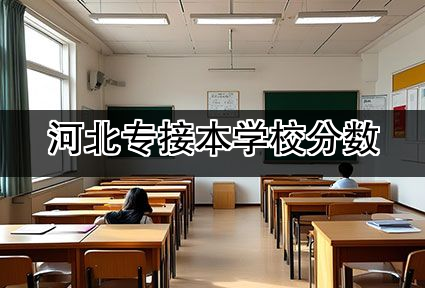 河北专接本学校分数