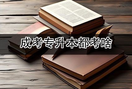 成考专升本都考啥