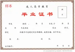 c2001c6a-366b-4bb4-b2b7-a93014e6d270.png