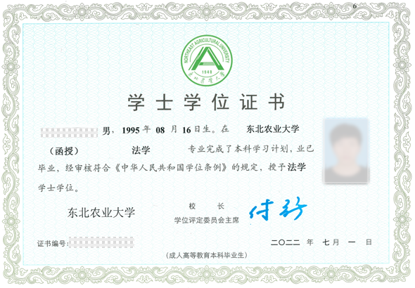 9ab0b83b-71f2-4f8c-a554-cabafde987c8.png