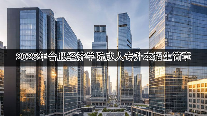 2025年合肥经济学院成人专升本招生简章