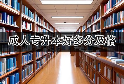 成人专升本好多分及格